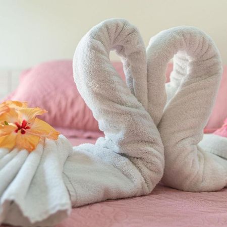 Apartament Flat No Portal De Gravata 2 Qts 70M Wifi 200Mb Zewnętrze zdjęcie